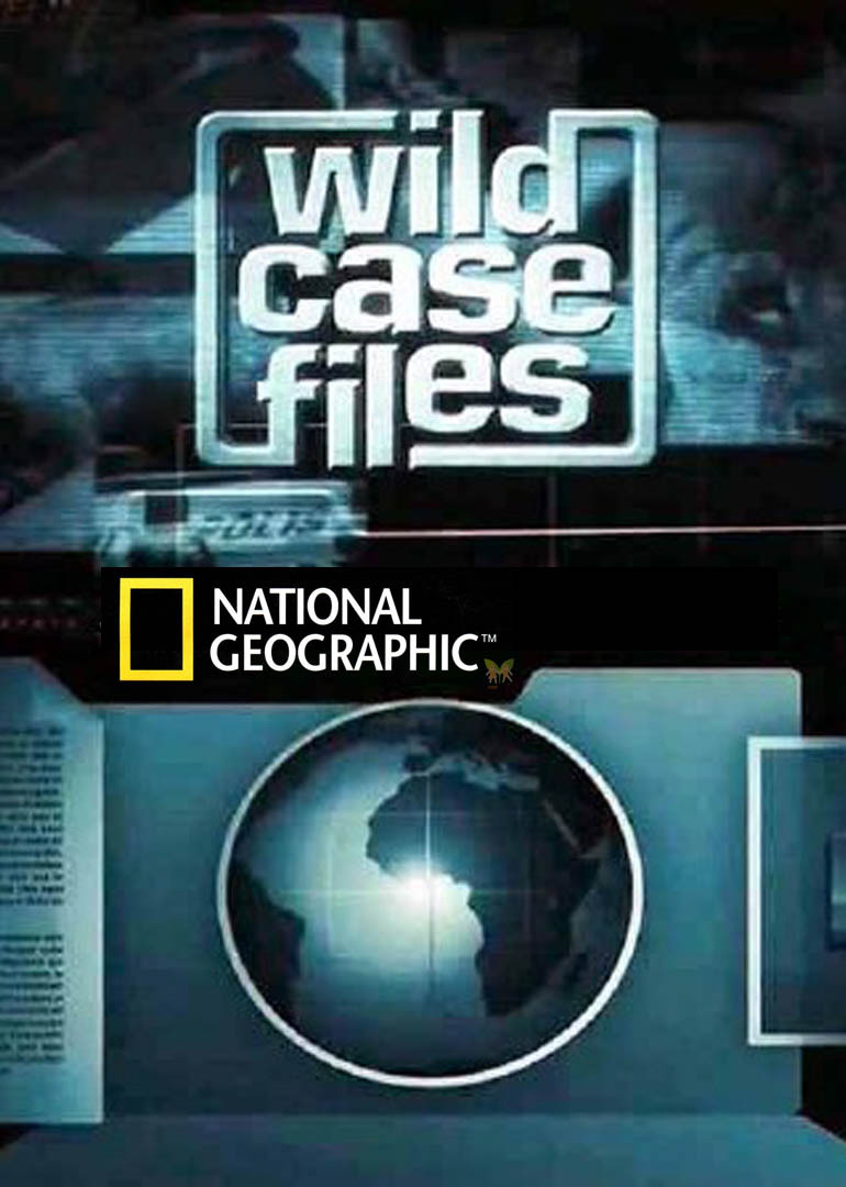 大自然神秘档案