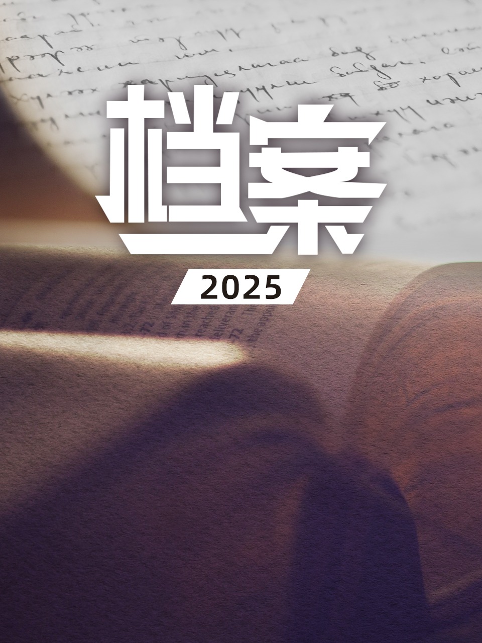 档案2025