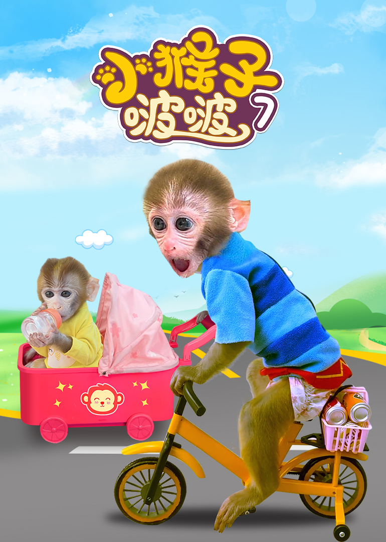 小猴子啵啵第七季