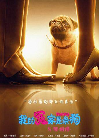我的冤家是条狗(普通话)