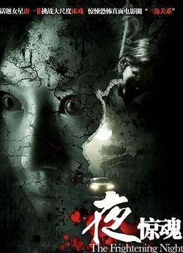 夜惊魂(2011)